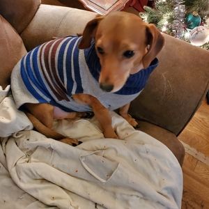 Sergeant major  Chuck